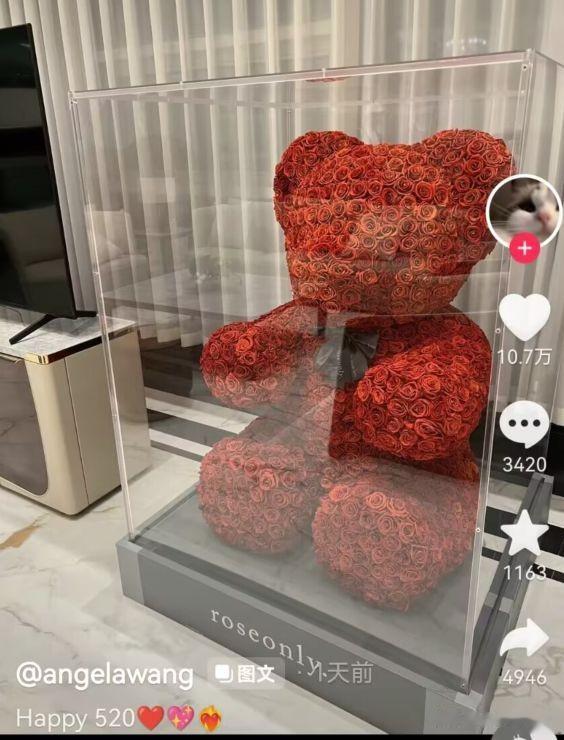 王诗龄|王诗龄520晒巨型玫瑰熊,被扒价格超过10万,曾与男生亲密互动