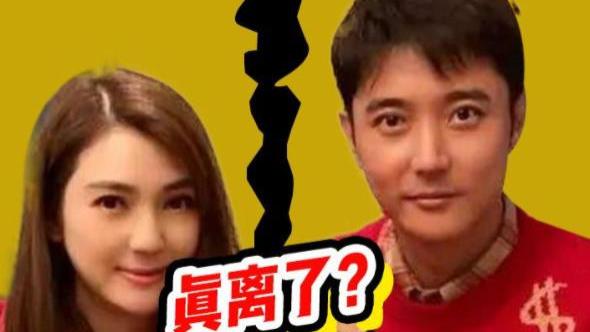 张丹峰|曝洪欣张丹峰协议离婚！男方频出轨掌财政！