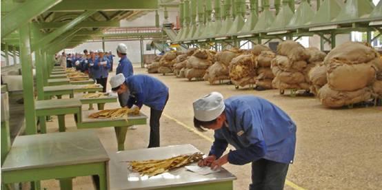 上海市|很少见,上海烟草集团2022年大量专科生被录用,网友:你去考考看