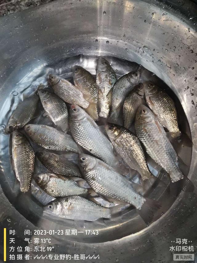 空军|2023年首次出钓,渔获多到出奇!