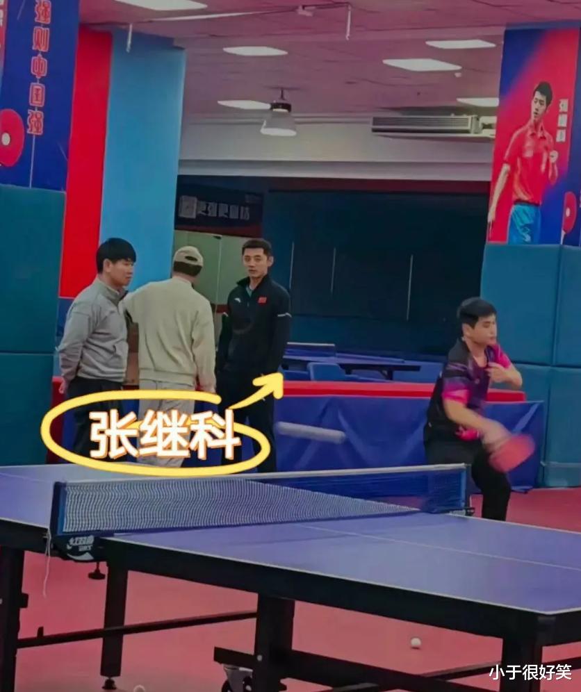 刘诗雯穿6万元夹克惹争议，张继科出山后月薪3万，科雯收入两重天