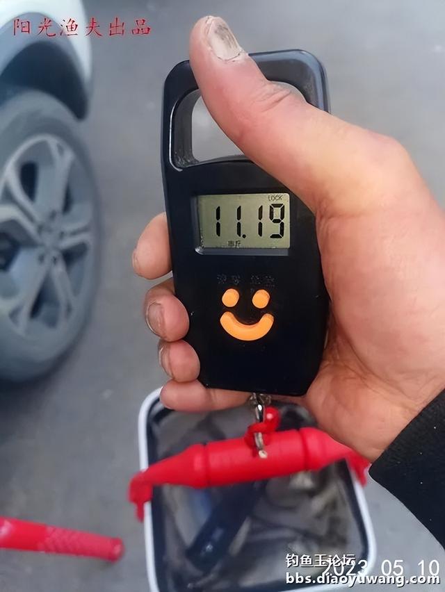 |大鲫加疯杀红虫,野河钓鲫爆护了