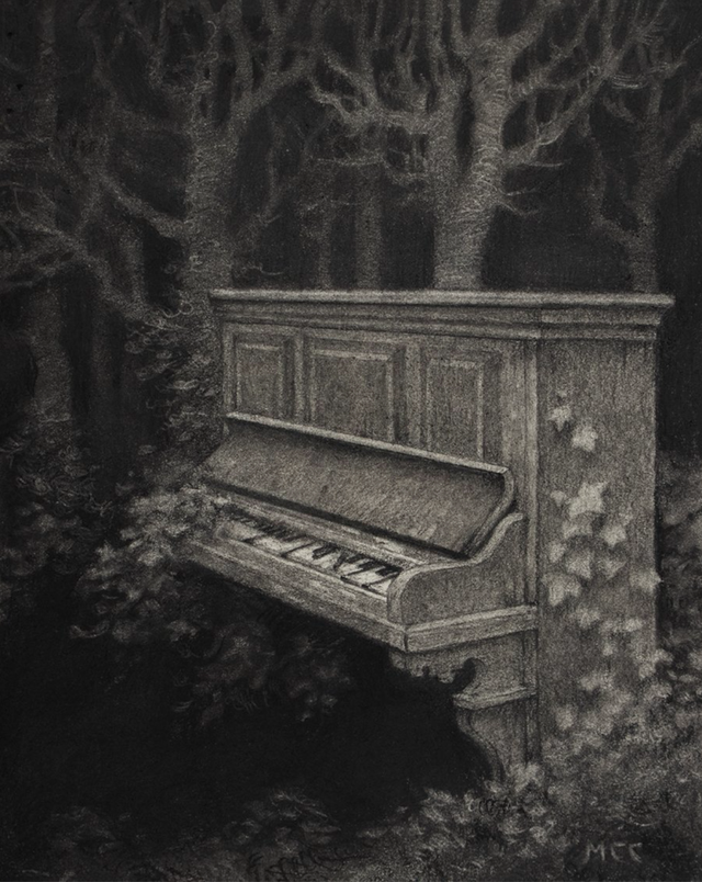 Mary Carroll | 画 面 幻 象