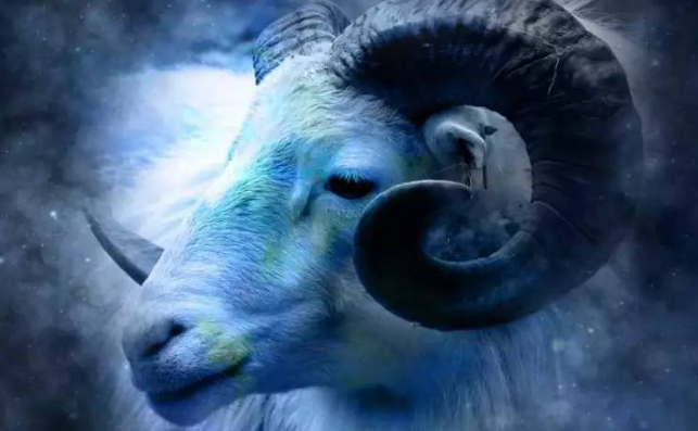 沈博阳|老实的白羊座人进入职场后会被欺负吗？