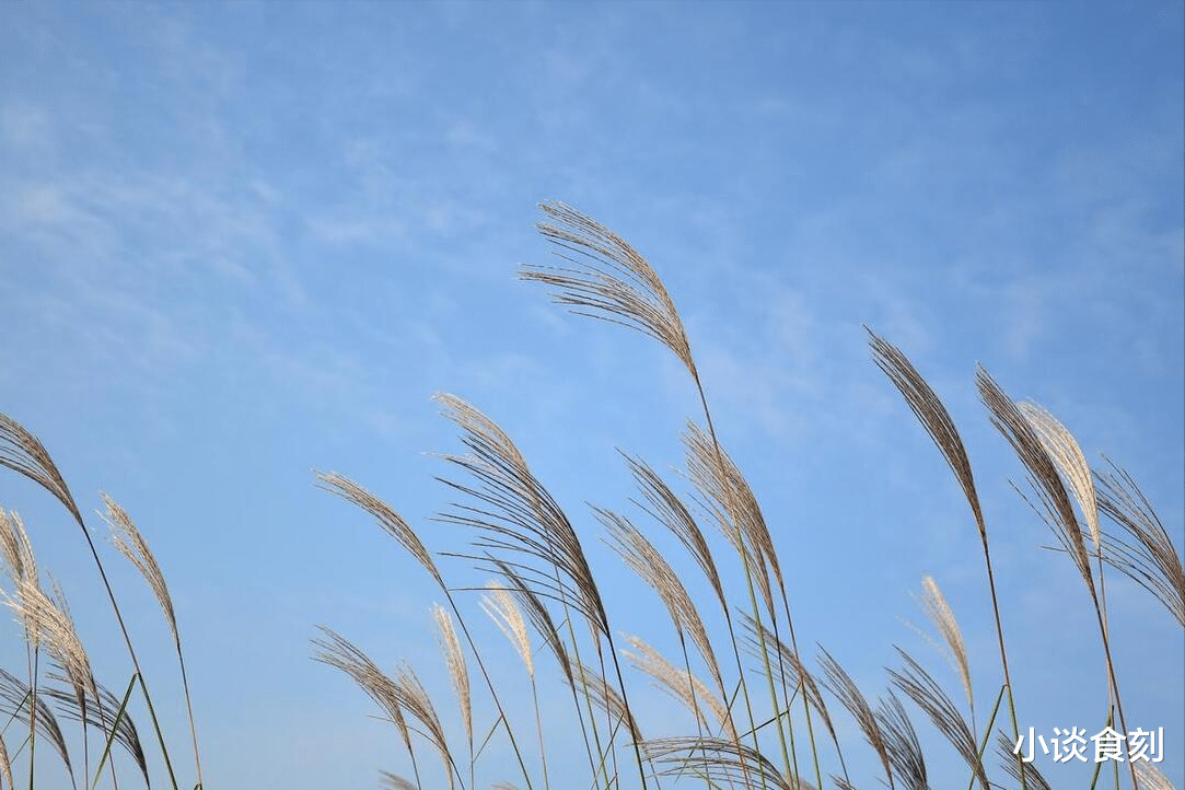 |明日入“三九”,老话说“三九有三怕”,指的是啥?有道理吗?