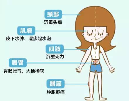 脾胃|烧心反酸 胃嘈杂不适?胃食管反流 中医调治有妙方,对症治疗很有效