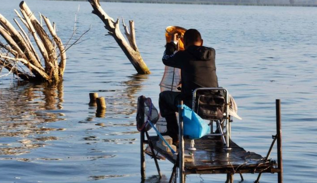 相比商品饵,为什么鱼更喜欢吃蚯蚓?