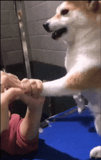 |“华为1996年的招聘广告，大家自己感受一下！”人才啊