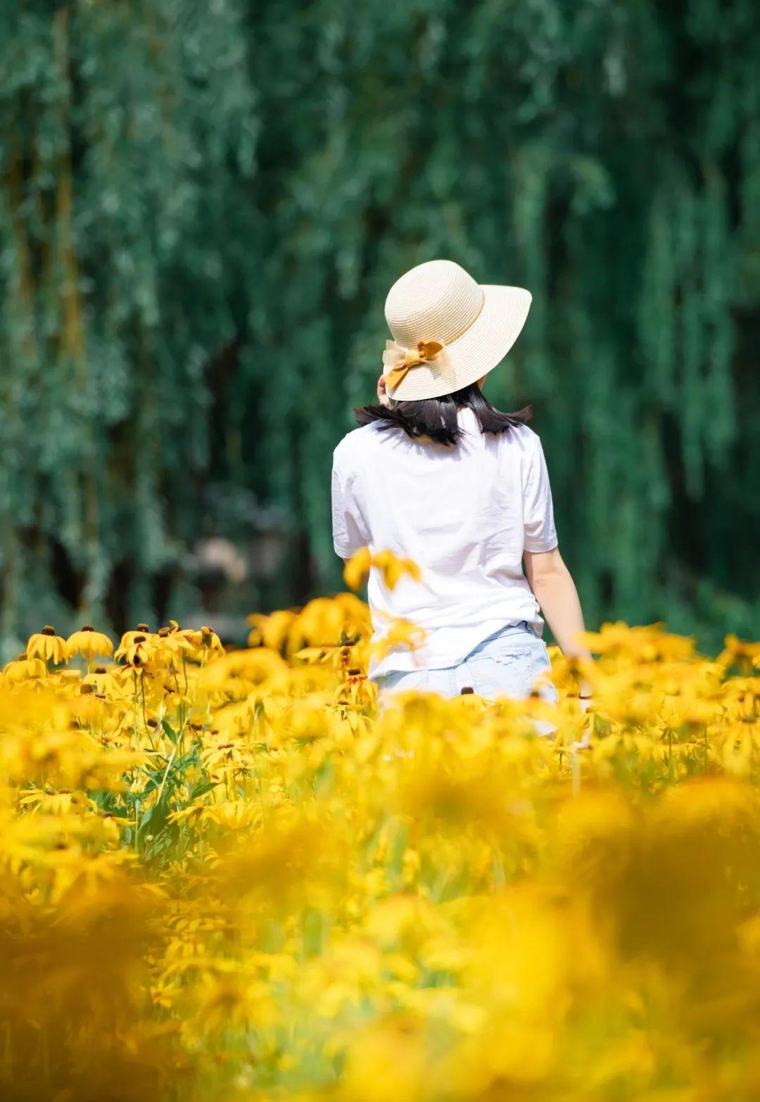 海清|46岁海清“患病现状”曝光,细节让全网揪心:人生下半场,别作了