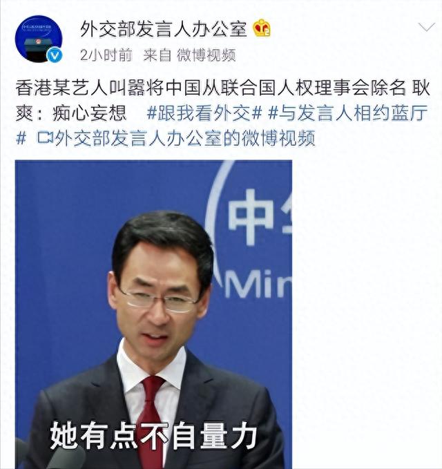 大快人心!19年让联合国把中国除名的何韵诗,兴风作浪7年终被抓