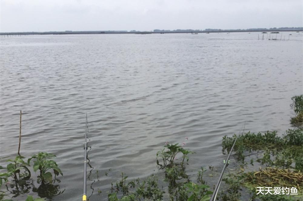 |夏季钓鱼,刮这2种风向时,爆护时机来了