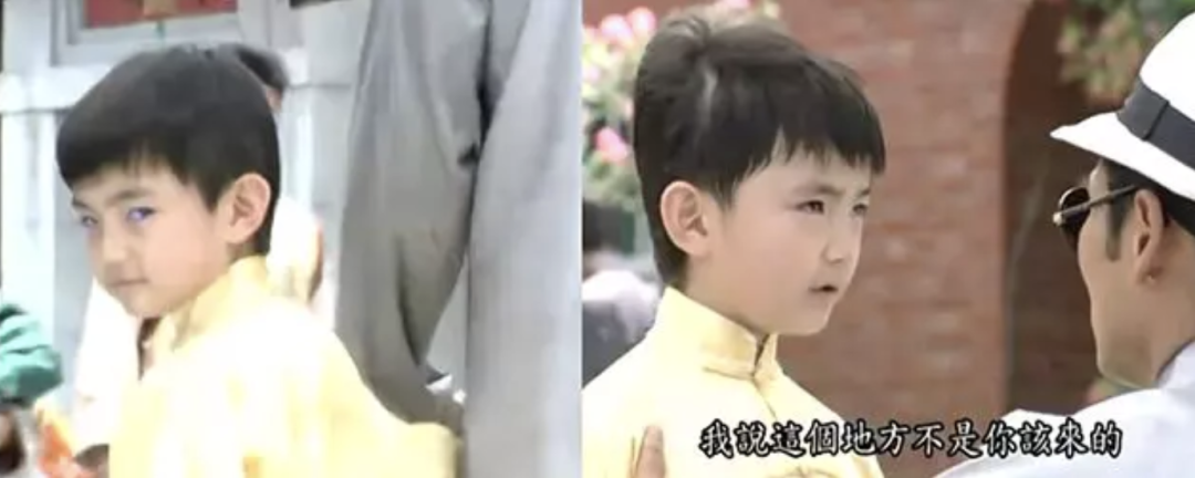 《海豚湾恋人》童星,被鸡毁了。