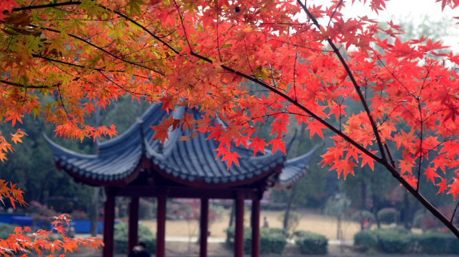欧洲旅游|?秋季能观赏到美景的几座城市，美轮美奂的风景肯定能深深刻在你的脑海中