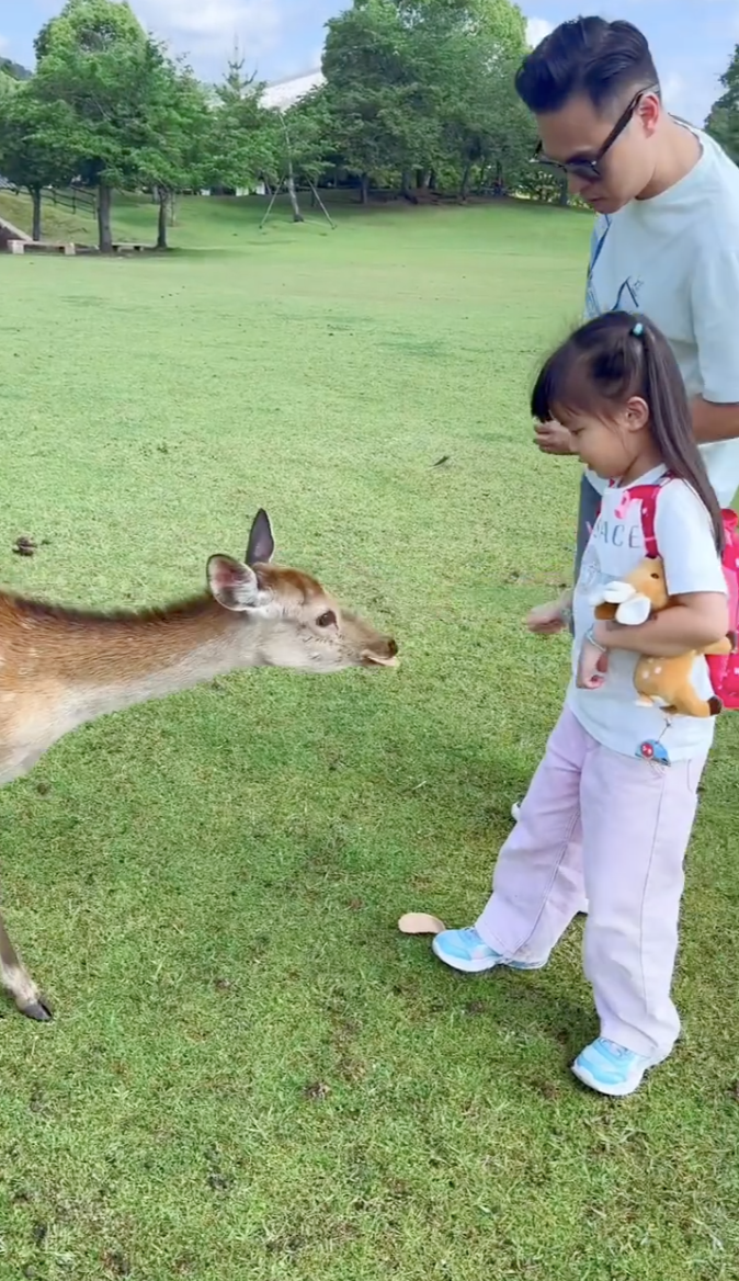 熊黛林罕晒祖孙三代,与富豪老公首次带双胞胎旅行,婆媳关系融洽
