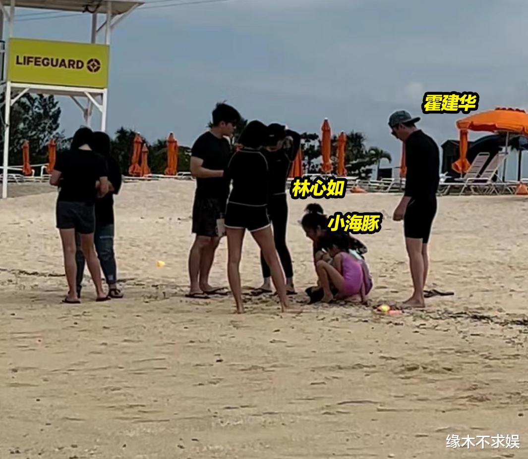 林心如一家3口日本海边旅游，6岁小海豚气质出众，霍建华变瘦变帅