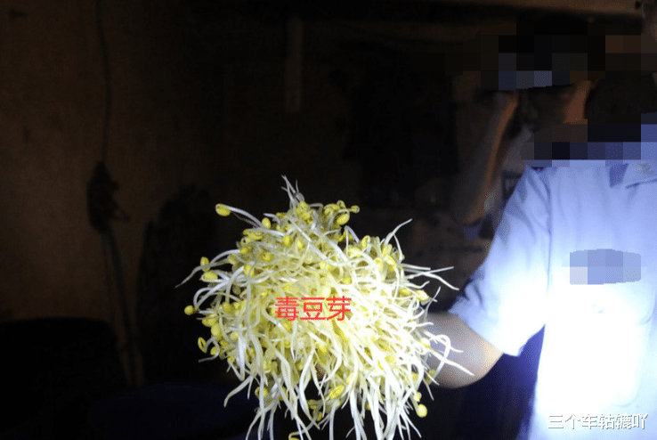 吉林长春,60岁大娘种豆芽卖出200元,没成想被判刑6个月