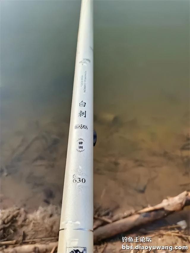 饵料|白刺出击完美爆护