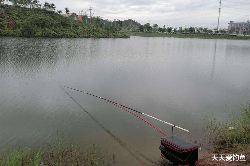 四季野钓,最容易爆护的几个时机,出钓一次顶十次