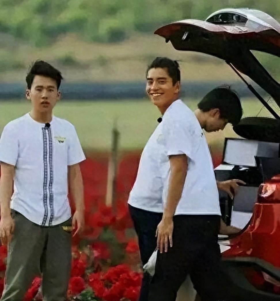 明星搞笑错位图,迪丽热巴腿消失,看到何炅笑出表情包