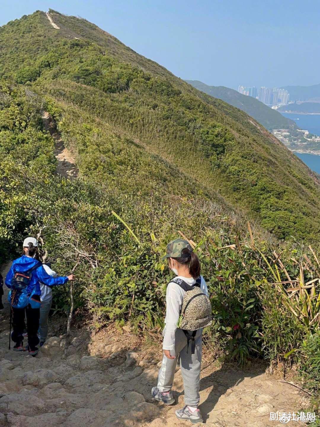 TVB两离巢女星罕见同框!法国餐厅相聚超兴奋,相差10岁无差别