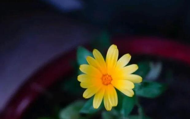 星座性格|表面很冷酷的三大星座，内心其实很火热