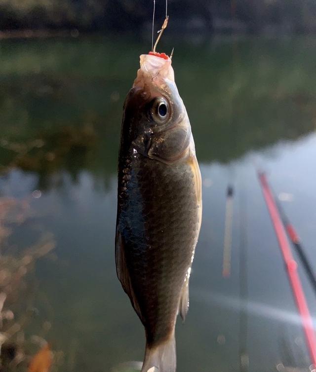 快乐|未雨绸缪做好预判，渔获如期而至
