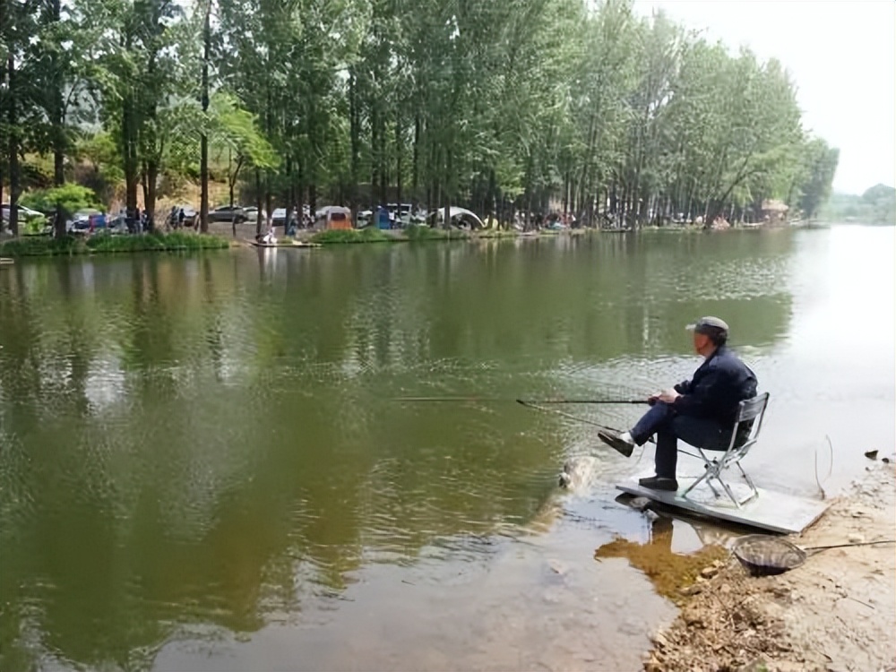 饵料|钓鱼三十六计——钓鱼高手的必修课(上)