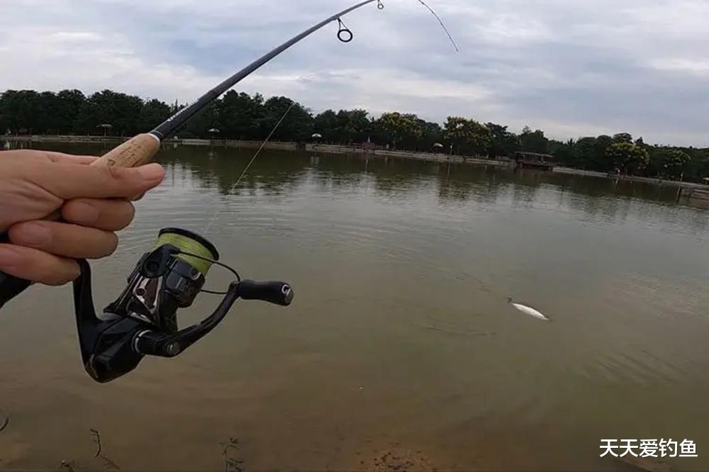 矶竿滑漂钓组图解,大水面野钓大鱼,这种钓法最是犀利
