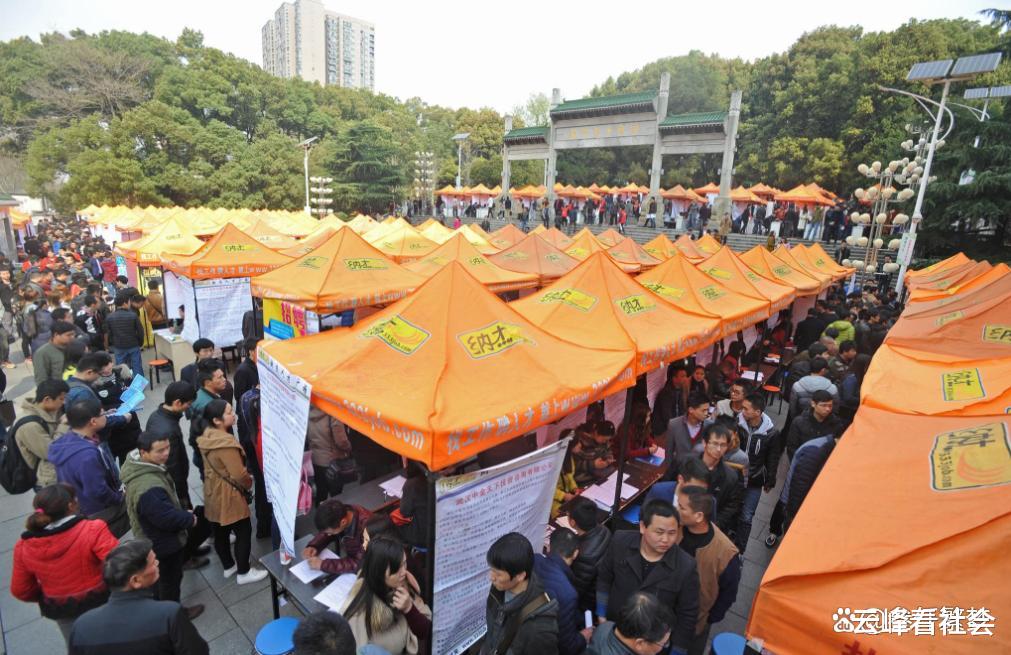 求职|找工作参加培训反被套路贷款，培训公司：100%就业≠包就业