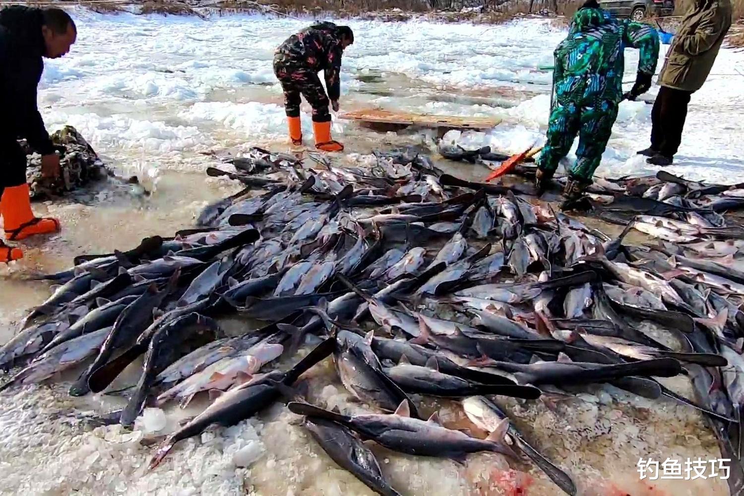 冬季冰上锚鱼选位置的5个技巧，锚鱼必学的知识