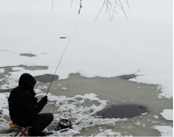 别被误导了！冬季钓鱼，几十公分水深的浅滩也能轻松擒获大板鲫！