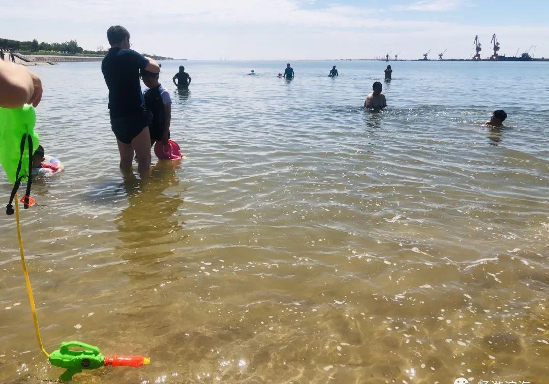 赶海|滨城 临港海岸线公园 周末适合追逐潮汐沙滩玩水赶海拾贝！