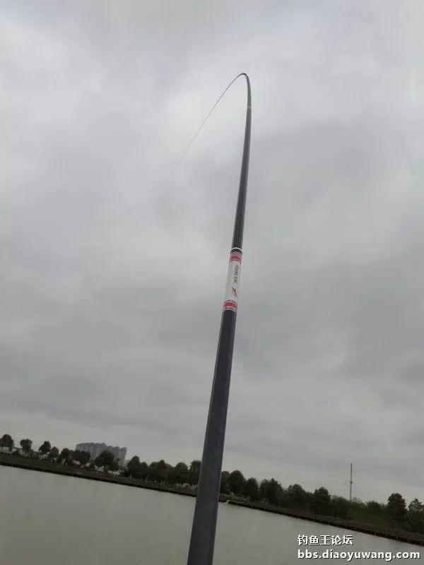 魁拔|再试魁拔极，意外擒鳜鱼