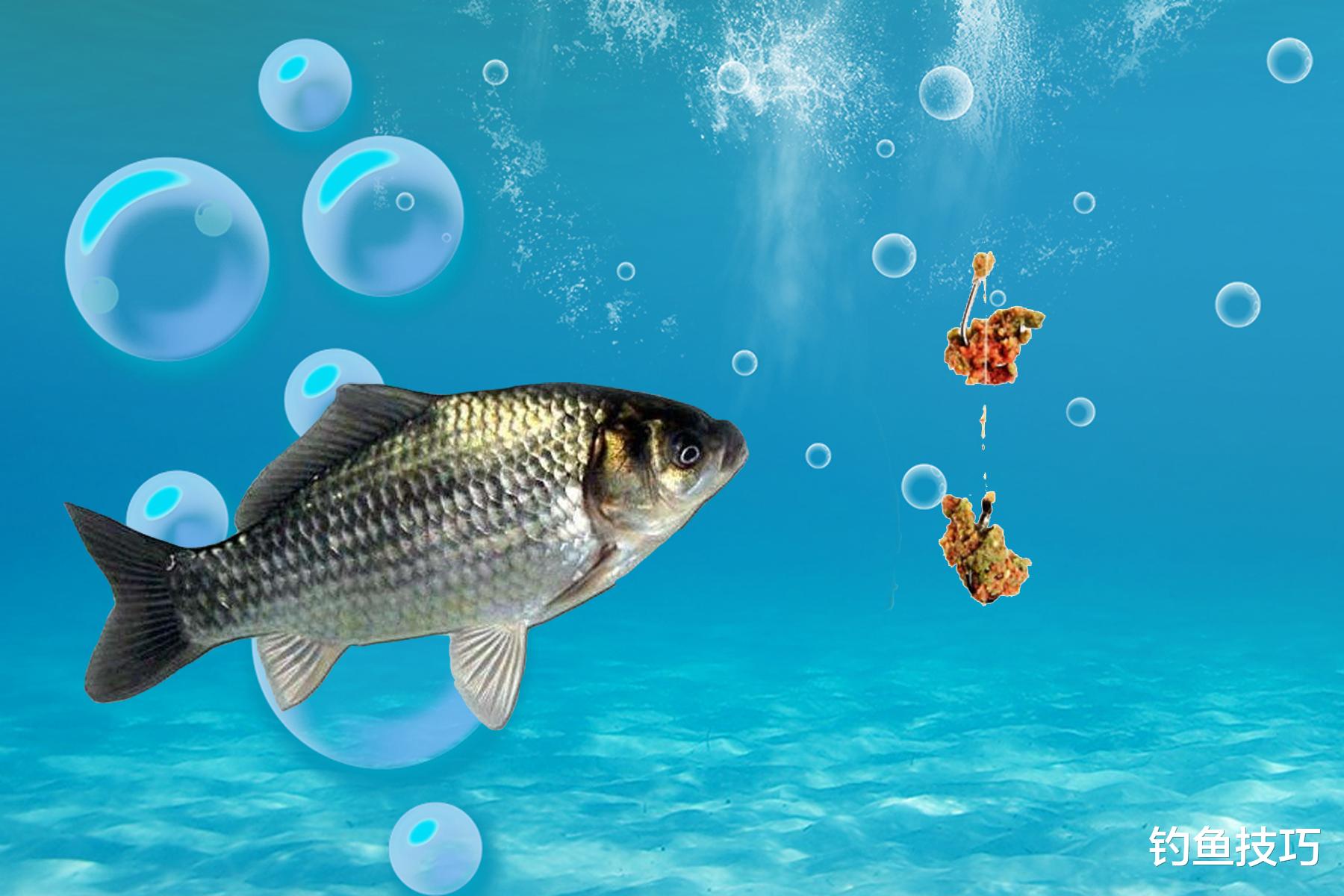 钓鲫鱼窝子留鱼时间长短的4个因素