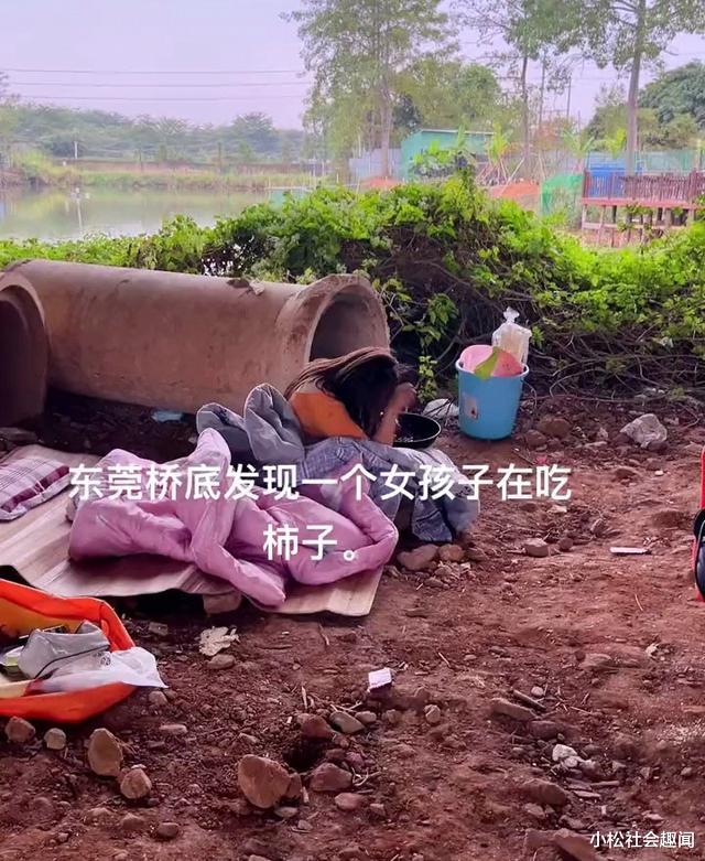 广东：流浪女子睡桥洞，害怕回家见父母，也不愿意接受任何救助