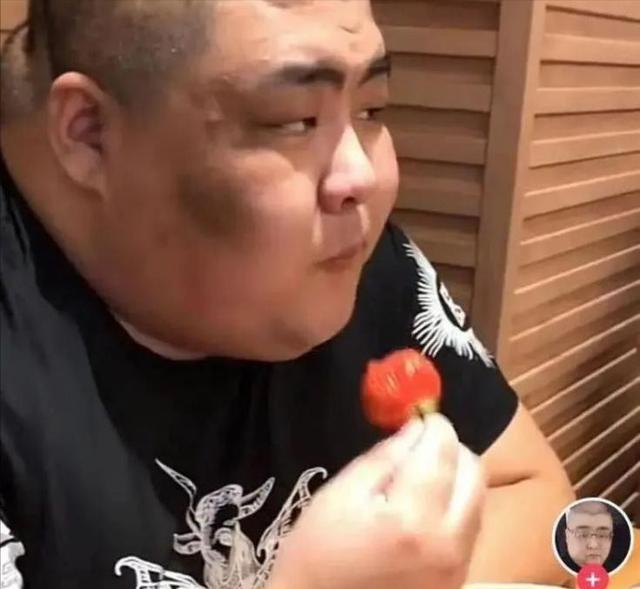 医生 网红胖猴花500万减重失败,体重飙升到600斤,医生感叹表示救不了