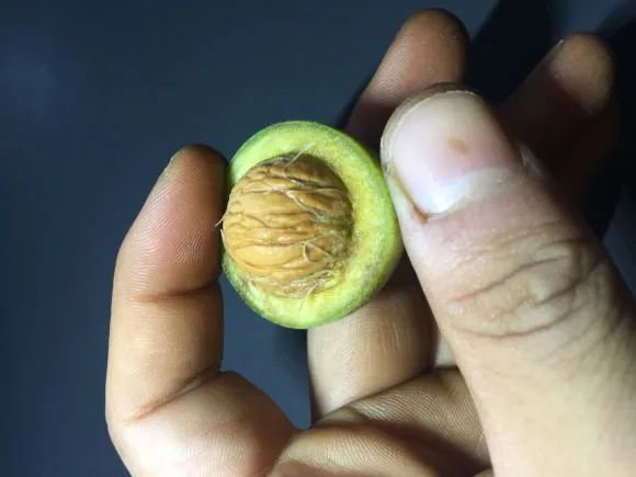 文玩|它被称为文玩界的“一匹黑马”，为何很少有人能盘到毕业？