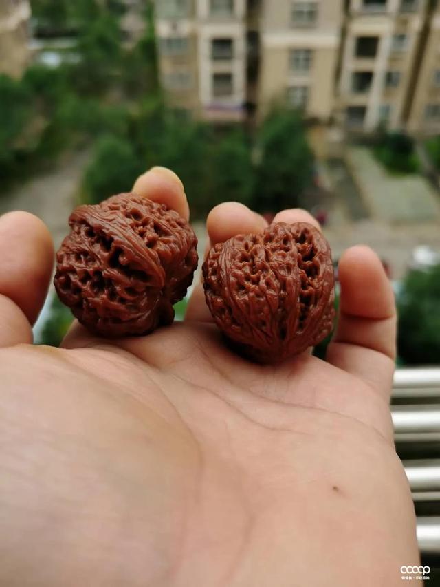 文玩|好玩不贵，不到1年，润得跟驼骨一样！通货玩出来，也可以很硬