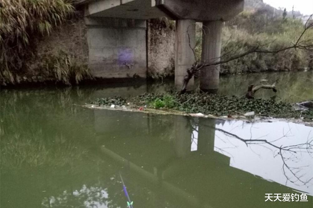 钓鱼|夏季野钓,选钓位的2大方向,大鱼基本躲这里
