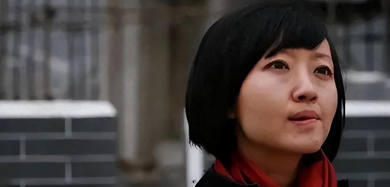 赴美生子、定居西班牙的柴静,遭道丁院士怒怼:中国人是不是人?