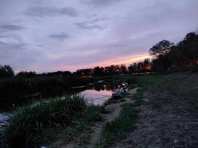 钓鱼日记——2023年7月15日（巩华城夜钓）