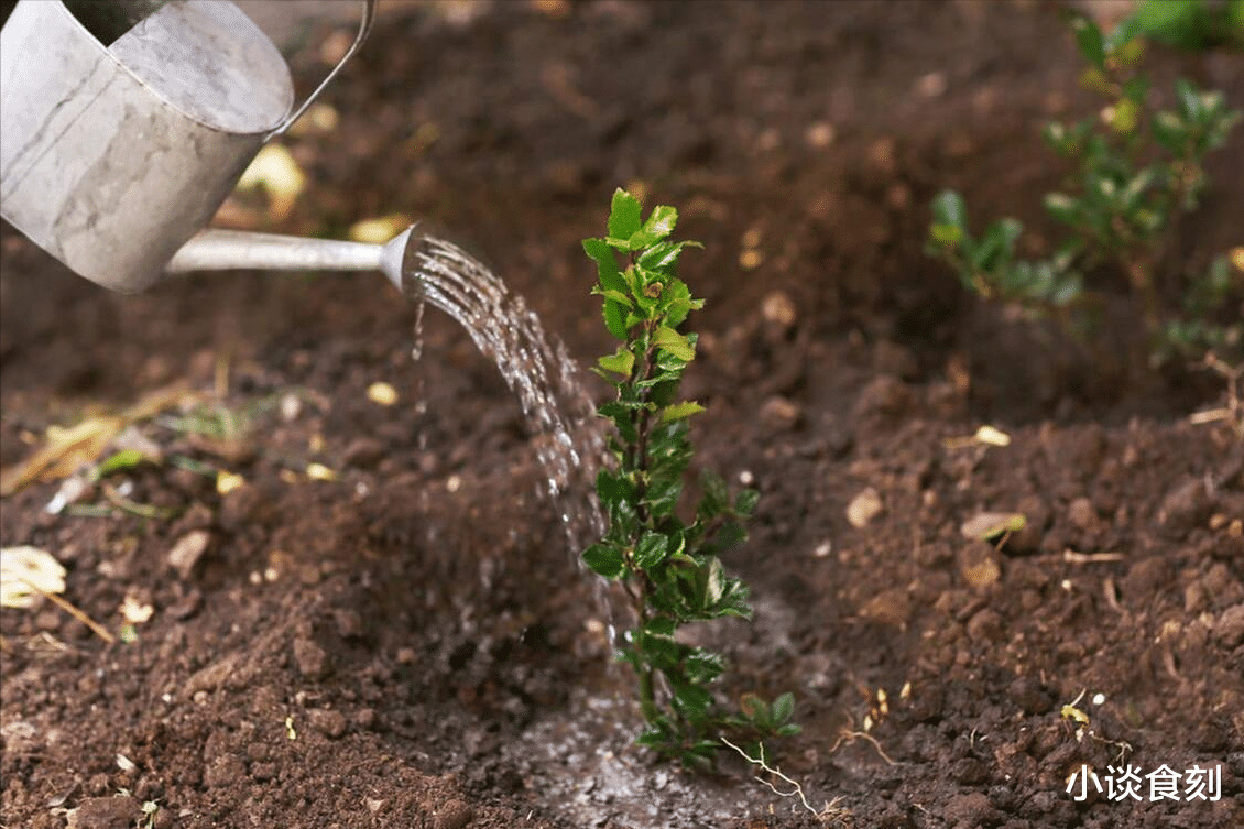 胡萝卜|明日冬月初一,提醒:1不碰,3不做,吃3样,入寒冬,别忘老传统