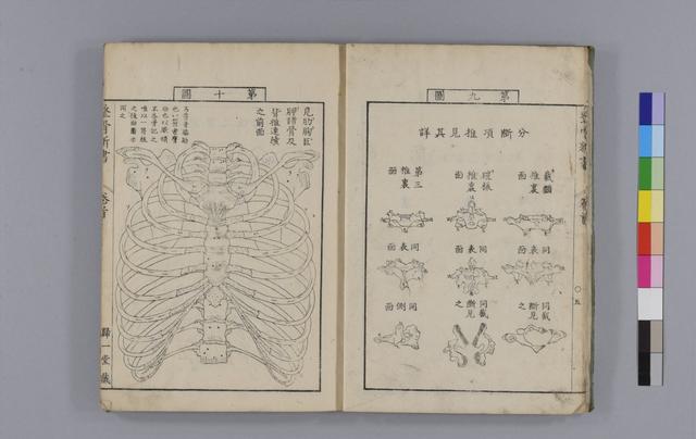 古籍分享《各骨真形图》