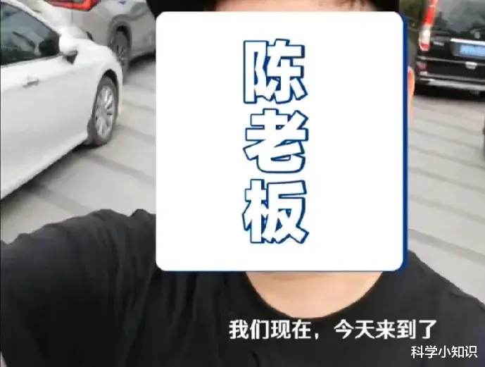 谷爱凌|张子萱陈赫深夜被骂上热搜！！