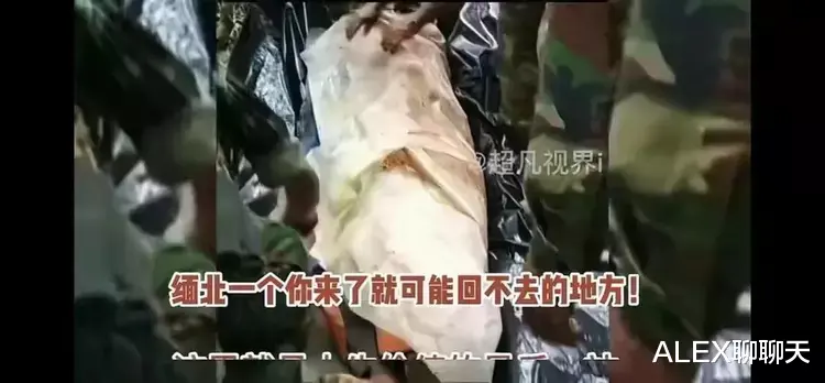 招聘|直击缅北训狗场，上万女性被困其中，把她们驯化成狗