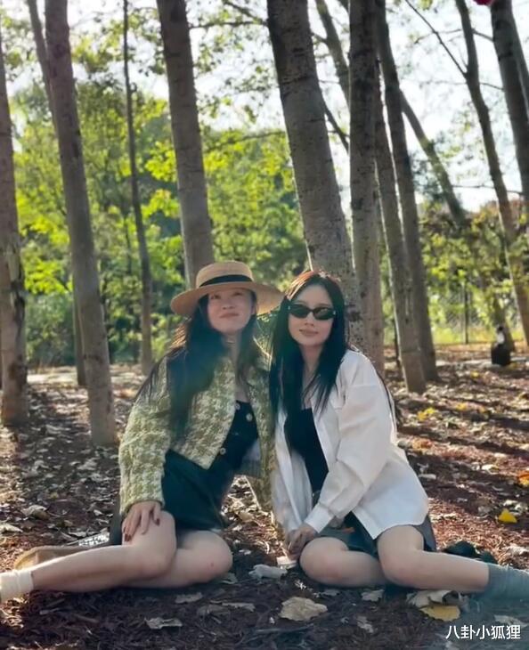 霍思燕李小璐带娃聚会,嗯哼受伤坐轮椅,甜馨暖心慰问超懂事