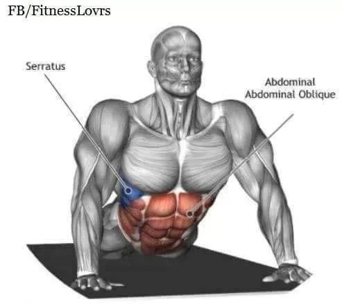 高血压|到底什么是“死肌肉”？