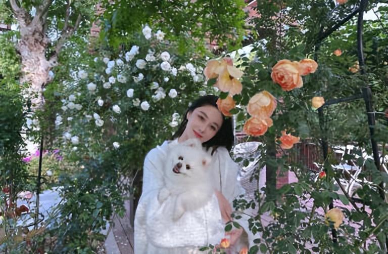 张馨予|张馨予首次粘假睫毛,何捷买下11种打包送老婆,夫妻对话超甜蜜