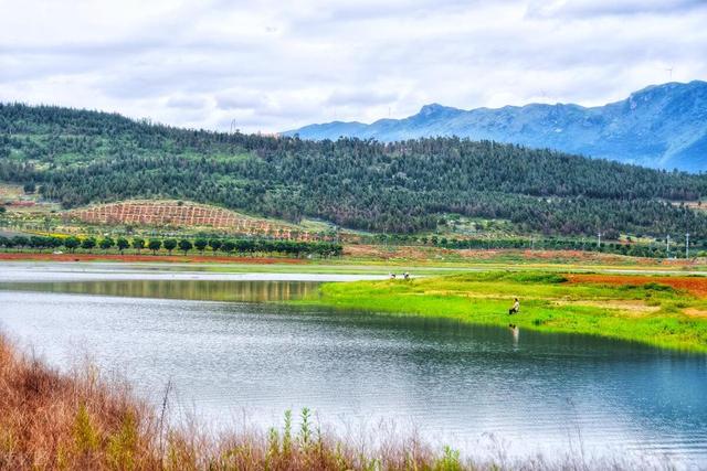 水库|夏季垂钓大草鱼，带上这几招出发，别错过草鱼黄金季节！