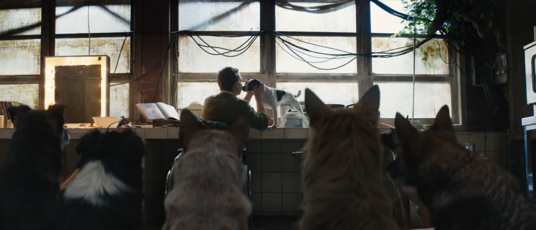 能在内地院线上映,这部年度最佳太猛了